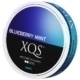XQS Blueberry Mint Light 4mg