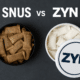 is zyn