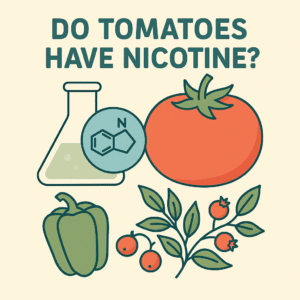 do tomatoes have nicotine