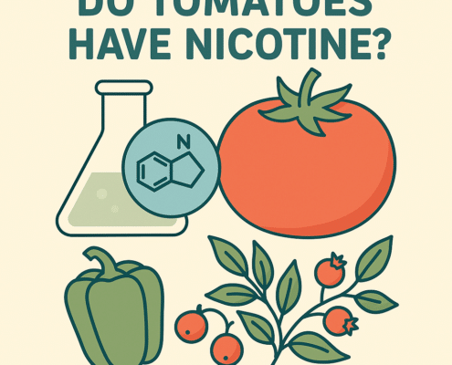 do tomatoes have nicotine