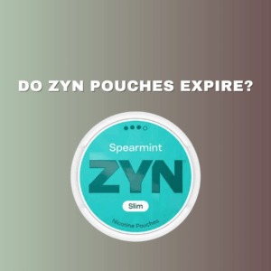do zyn pouches expire