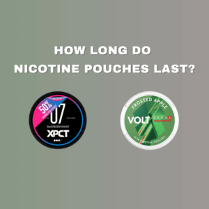 how long do nicotine pouches