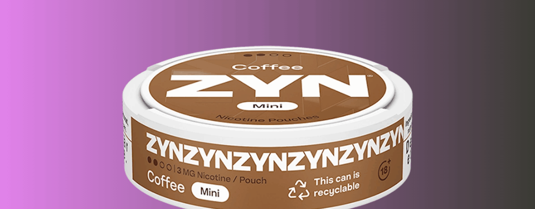 where is zyn made