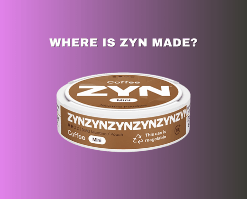 where is zyn made